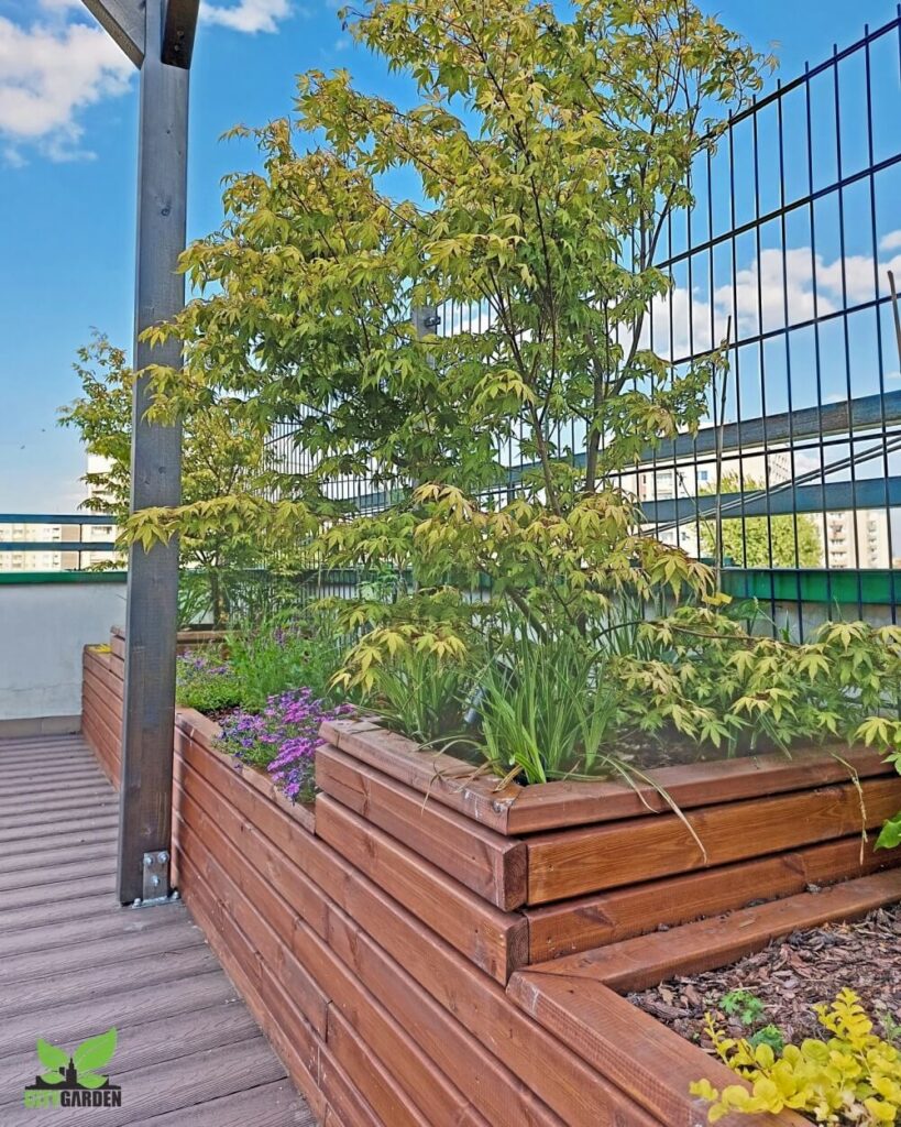 drewniana donica z klonem palmowym wykonanie citygarden