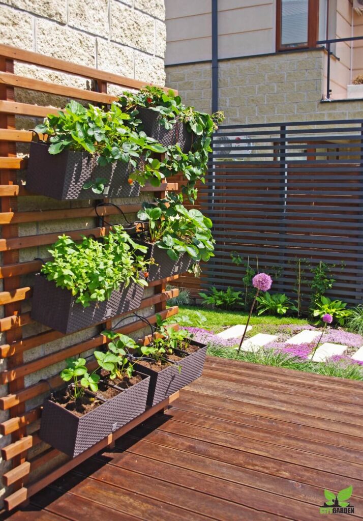 donice wertykalne na zioła na drewnianym panelu - citygarden